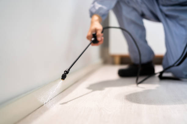 Licensed Termite Control service in Sherman County County, NE - Nex Pest Control