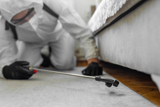 Professional Termite Control technician working in Sherman County County, NE
